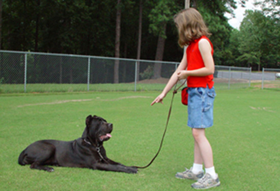 Girl Dog Obedience