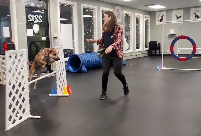 Agility Studio Rental